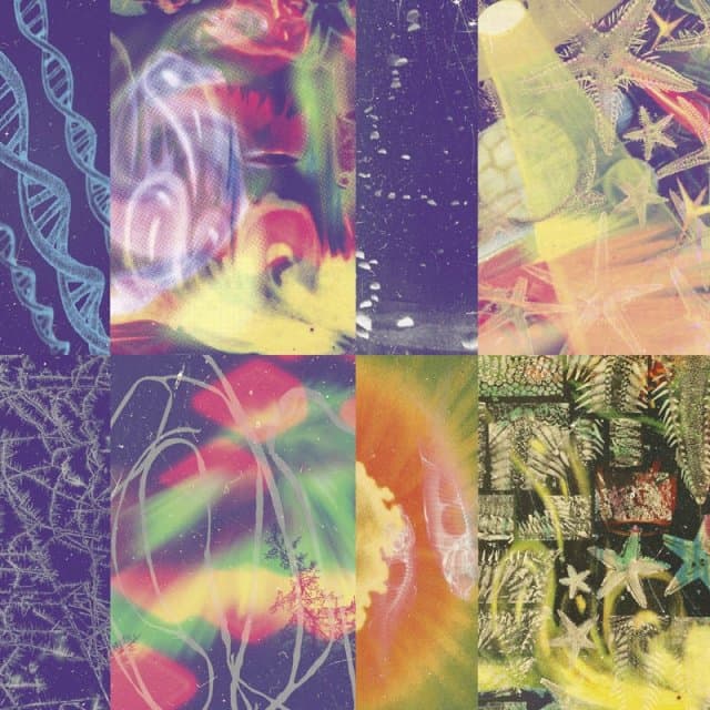Nap Eyes - The Neon Gate (CD)