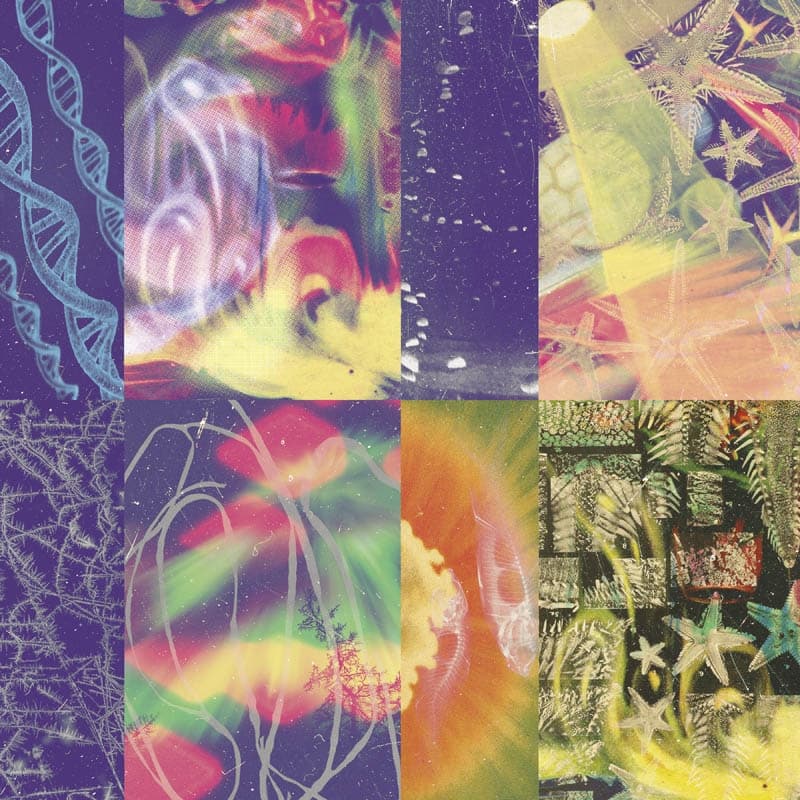 Nap Eyes - The Neon Gate (LP)