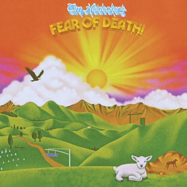 Tim Heidecker - Fear Of Death (LP) (Coloured Vinyl)