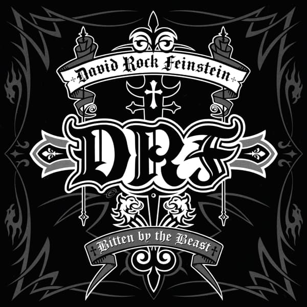 David Rock Feinstein - Bitten By The Beast (CD)