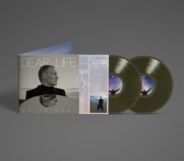 David Gray - Dear Life (2 LP) (Coloured Vinyl)