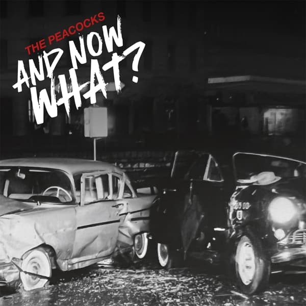 Peacocks - And Now What? (CD)
