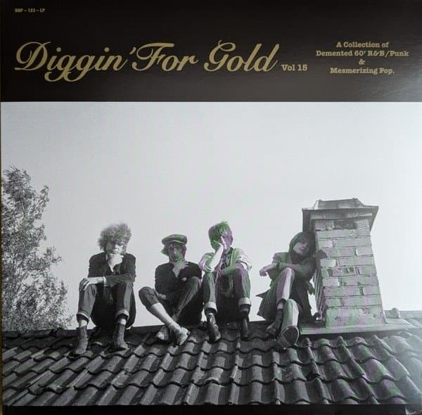 Various Artists - Diggin' For Gold, Vol. 15 (LP)