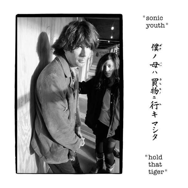 Sonic Youth - Hold That Tiger (2 LP)