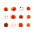 Peter Gabriel - Scratch My Back / And I'll Scratch Yours (2 CD)