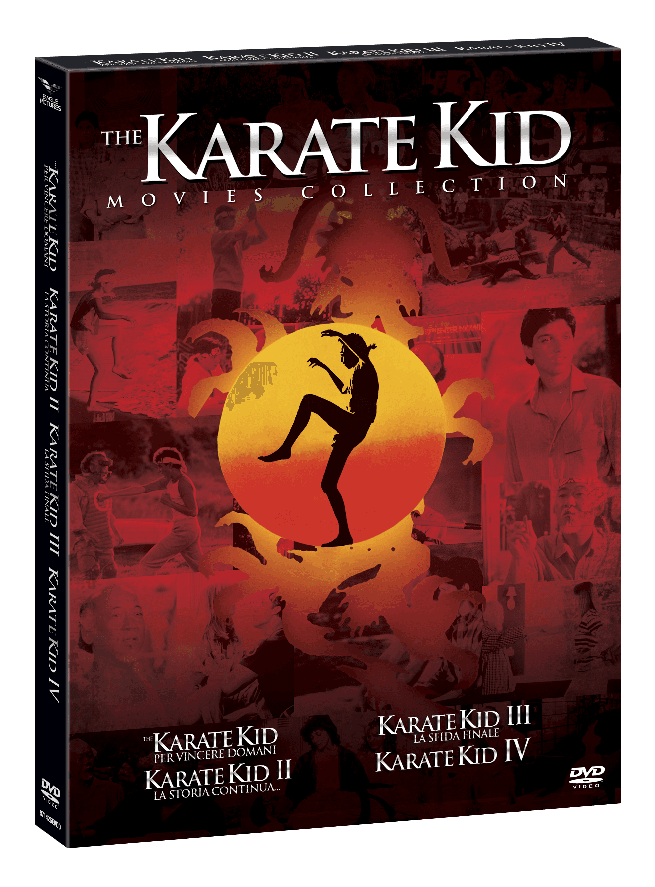 Karate Kid Collection (4 Dvd) (Import)