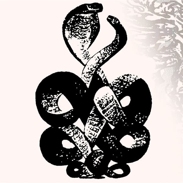 Bardo Pond - Volume 4 & 5 (2 LP)