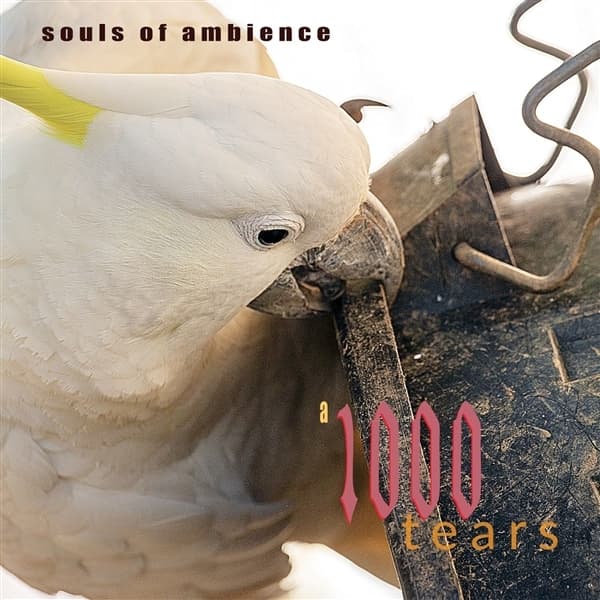 Souls Of Ambience - A 1000 Tears (CD)