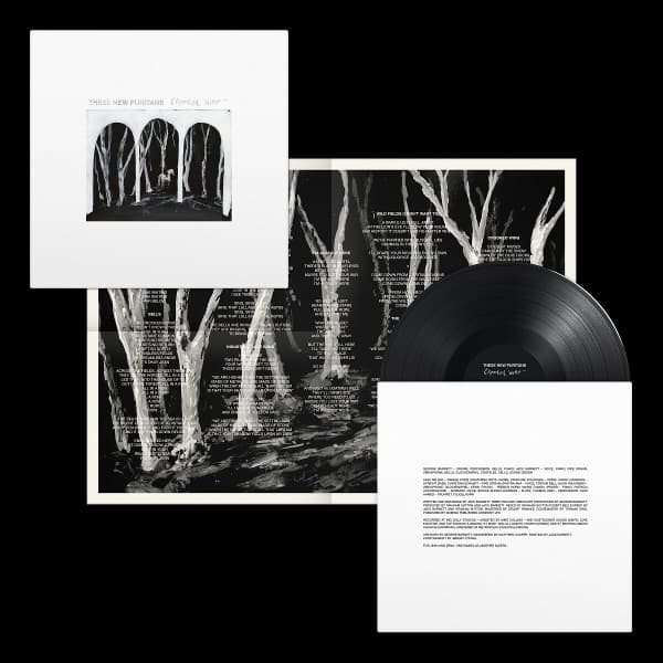 These New Puritans - Crooked Wing (LP)