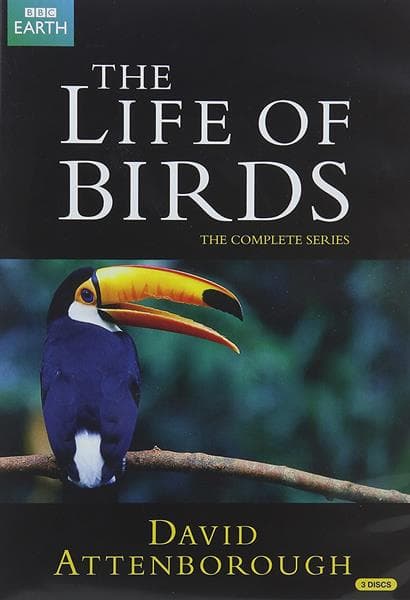 Life Of Birds [repackaged] (Import)