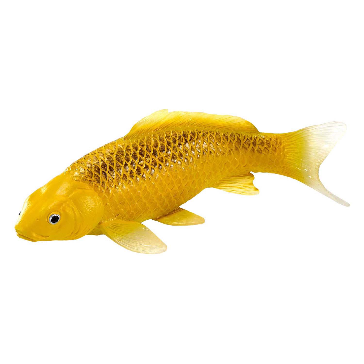 Mojo Sealife Koi Karper - Kin Matsuba Koi - 381105