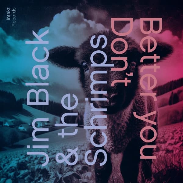 Jim Black, The Schrimps, Asger Nissen, Julius Gawlik, Felix Henkelhausen - Better You Don't (CD)