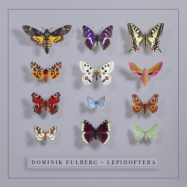 Dominik Eulberg - Lepidoptera (2 LP)