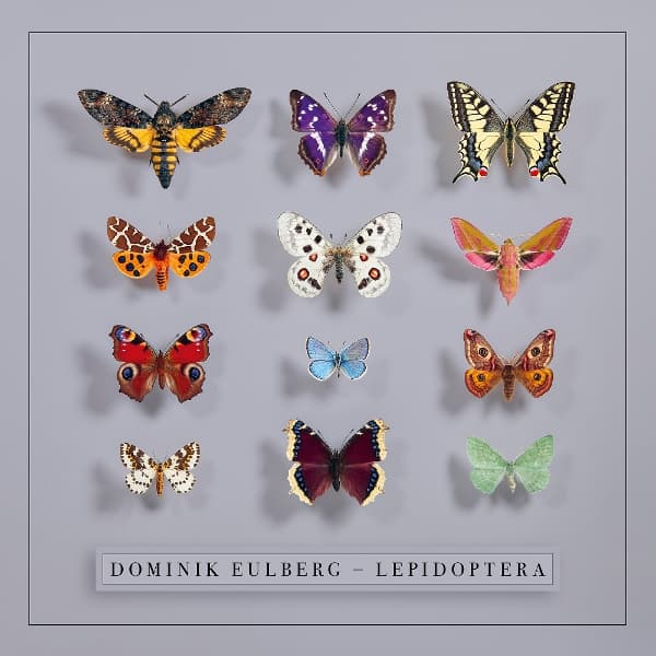 Dominik Eulberg - Lepidoptera (CD)
