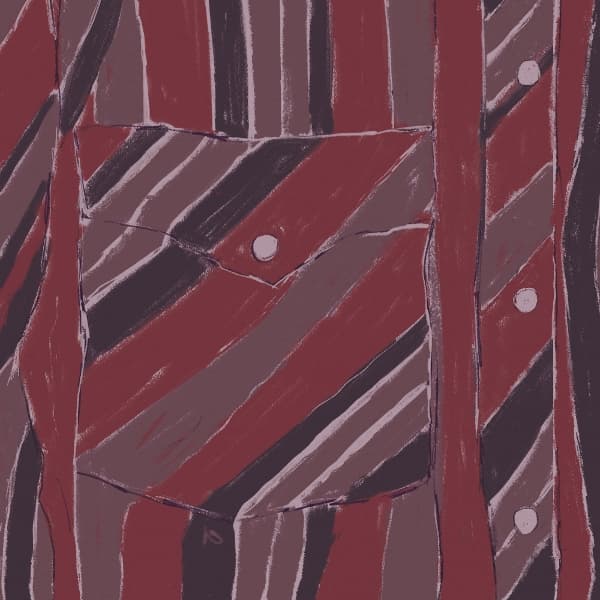 Jake Xerxes Fussell & James Elkington - Rebuilding (LP) (Original Soundtrack)