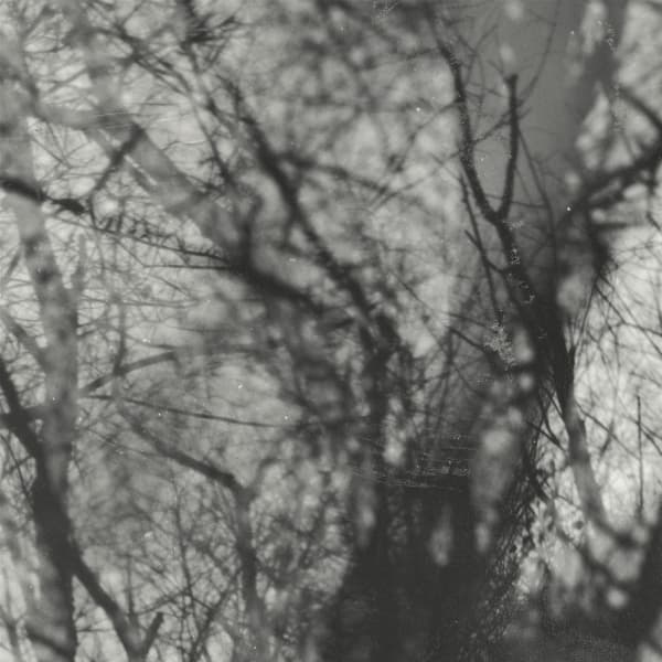 Grouper - Way Their Crept (LP)