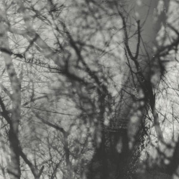 Grouper - Way Their Crept (LP)