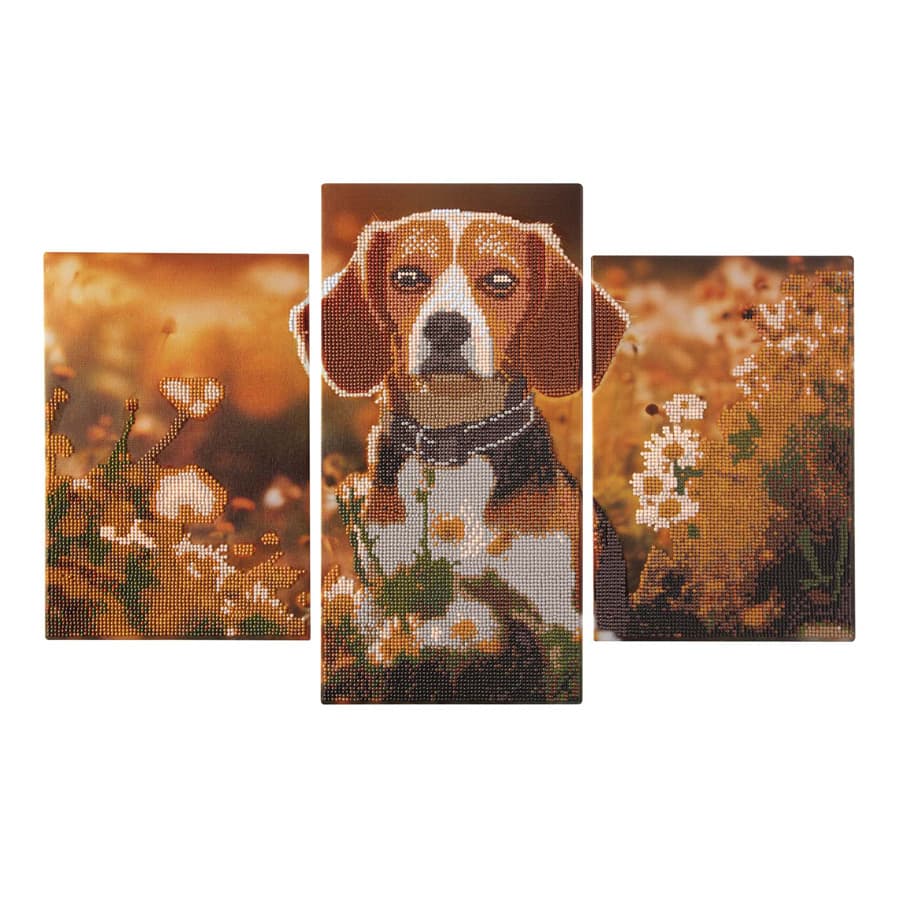 Diamond Painting Drieluik set - Hond