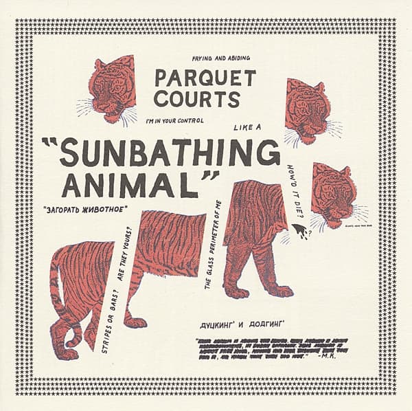 Parquet Courts - Sunbathing Animal (CD)