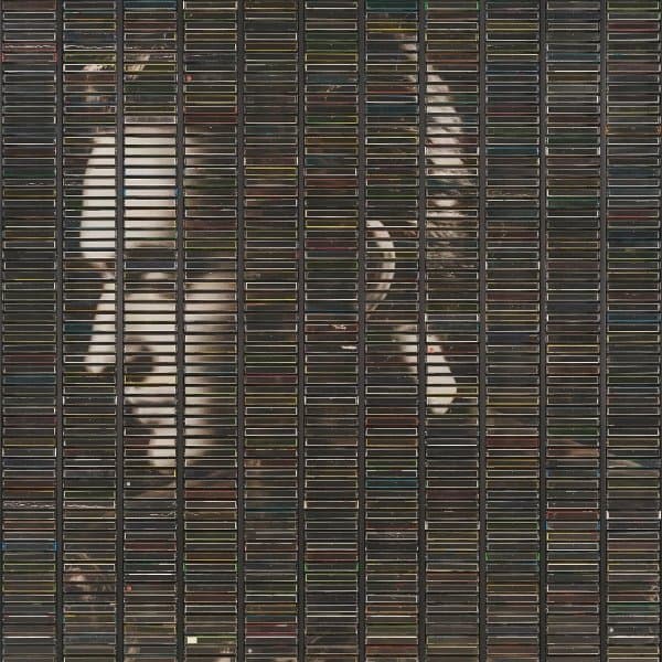 Stephan Eicher - Poussière D'Or (2 LP)