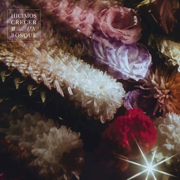 Fin Del Mundo - Hicimos Crecer Un Bosque (CD)