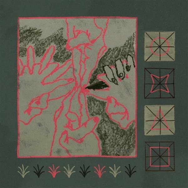 Suitor - Saw You Out With The Weeds (LP)