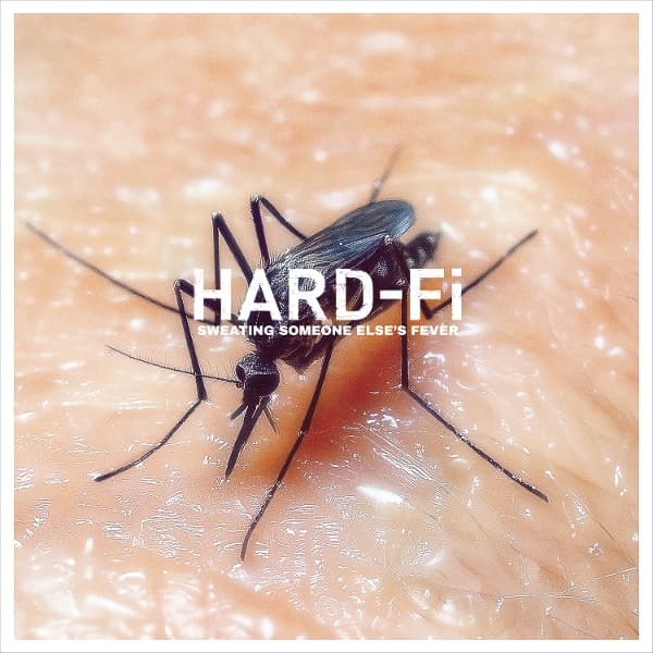 Hard-Fi - Sweating Someone Else's Fever (LP)