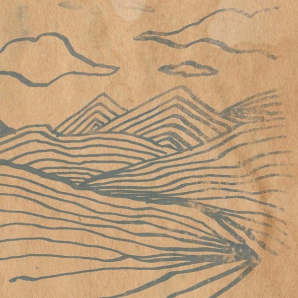 Wooden Wand - Farmer's Corner (LP)