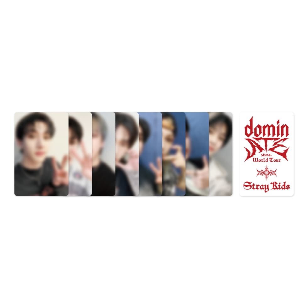 STRAY KIDS WORLD TOUR [DOMINATE SEOUL] DVD (Import)