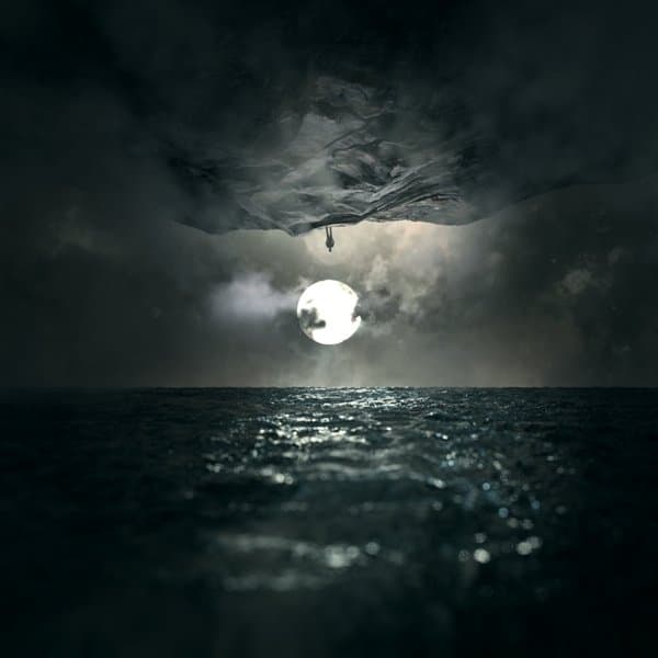 Wooden Veins - In Finitude (LP) (Coloured Vinyl)