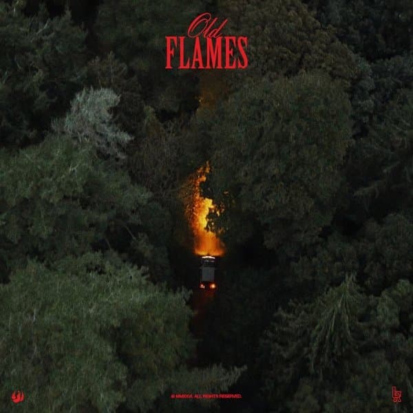 La Roux - Old Flames (LP)