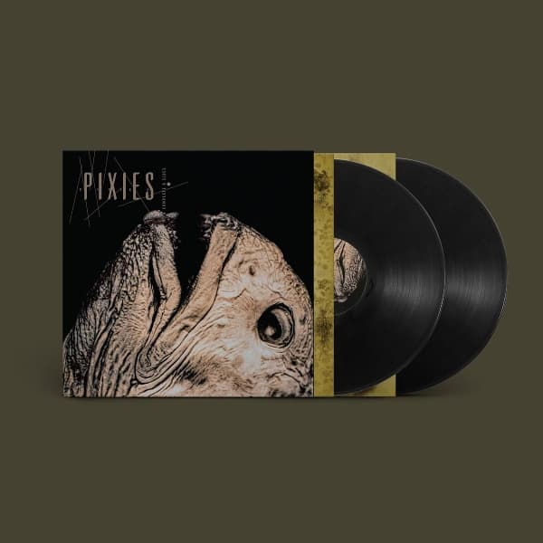 Pixies - Complete B-Sides: 1988-97 (2 LP)