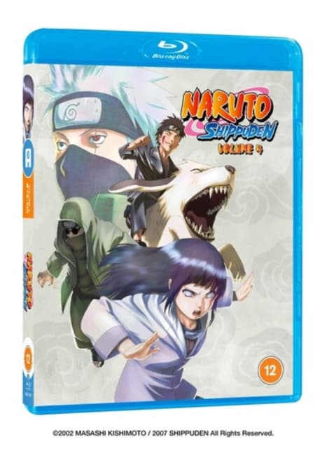 Naruto Shippuden Volume 4 (Import)