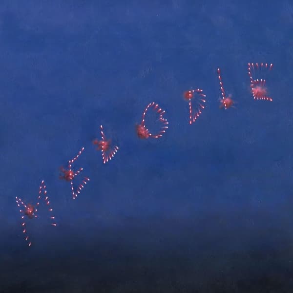 Slow Pulp - Melodie (CD)