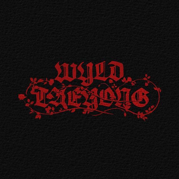 Taeyong - Wyld (Wyld Book Version)