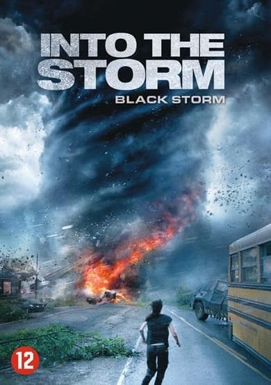 Into The Storm (DVD)