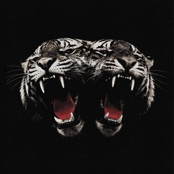 Royal Blood - Dead Company (CD)
