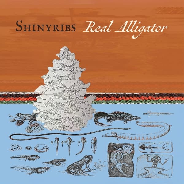 Shinyribs - Real Alligator (CD)