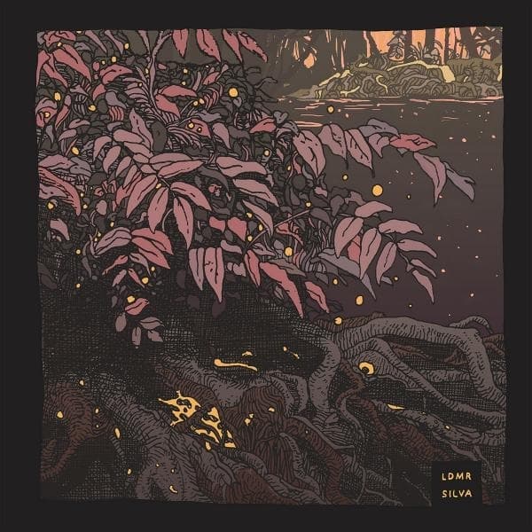 LDMR - Silva