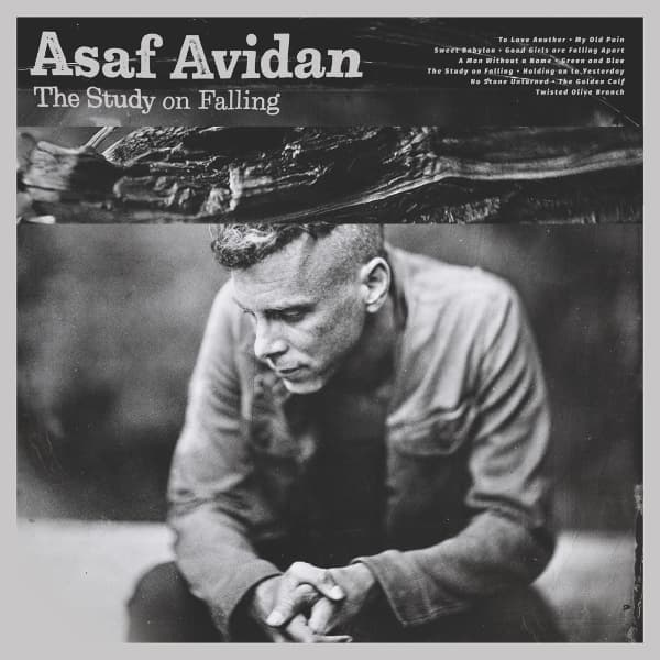 Asaf Avidan - The Study On Falling (LP)