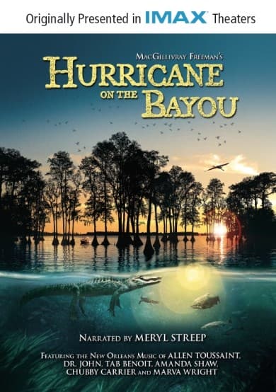 Hurricane On The Bayou (DVD)