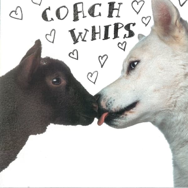 Coachwhips - Bangers Vs. Fuckers (CD)