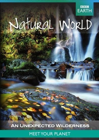 BBC Earth - Natural World An Unexpected Wilderness