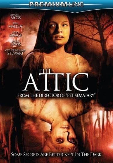 Attic (DVD)