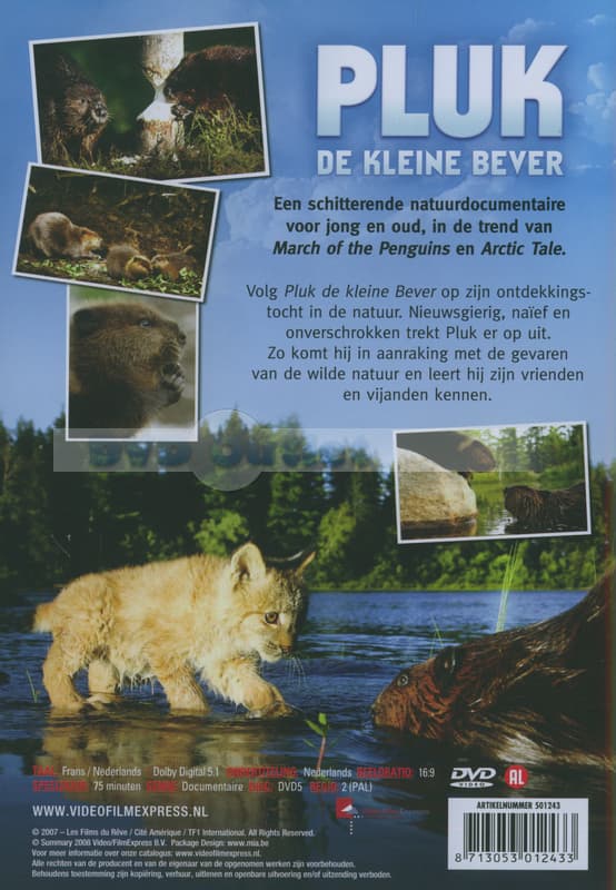 Pluk De Kleine Bever (DVD)