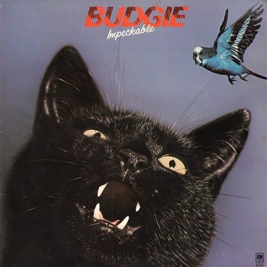 Budgie - Impeckable (CD)