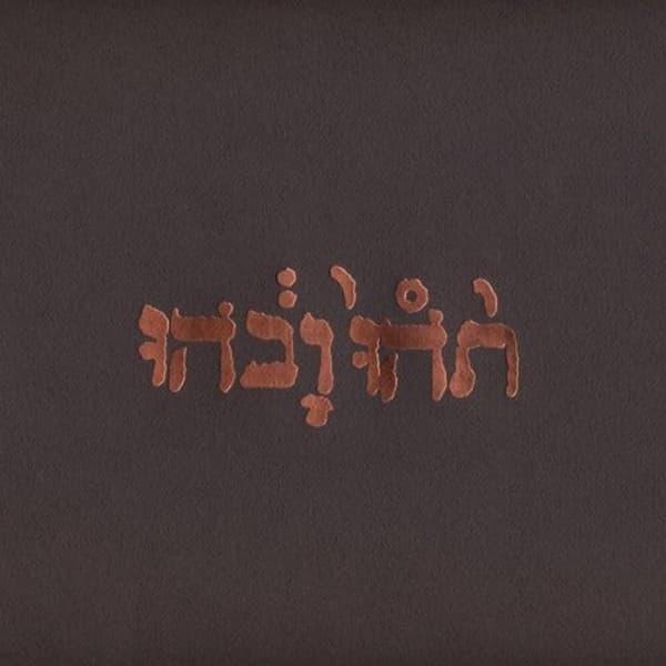 Godspeed You! Black Emperor - Slow Riot For New Zero Kanada (LP)
