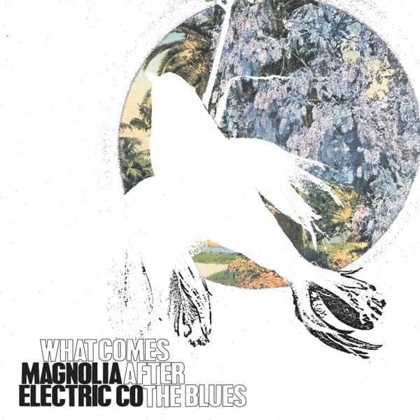 Magnolia Electric Co. - What Comes After The Blues (LP)
