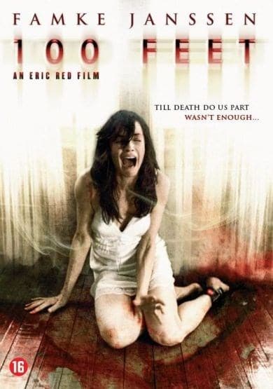 100 Feet (DVD)