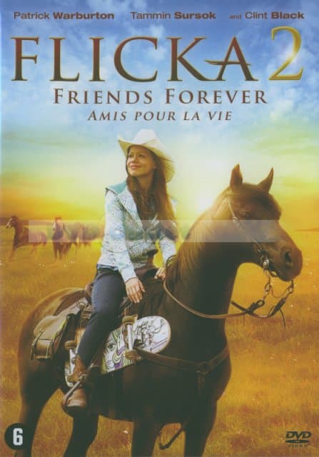 Flicka 2 (DVD)